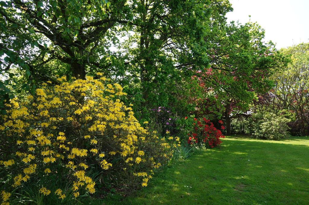 Leyland Country House Lymington Extérieur photo